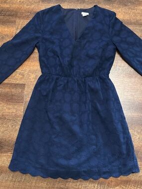 J. Crew Navy Eyelet V-Neck Long Sleeve Dress Size 2 Fit and Flare Mini